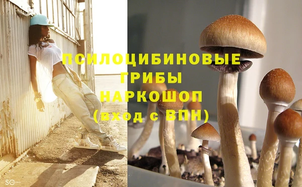 дмт Абинск