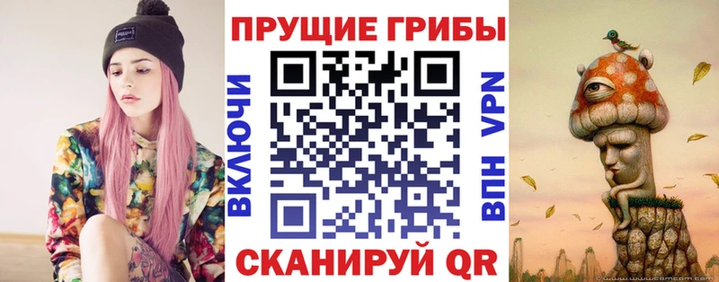 где найти наркотики  Котовск  Галлюциногенные грибы мухоморы 