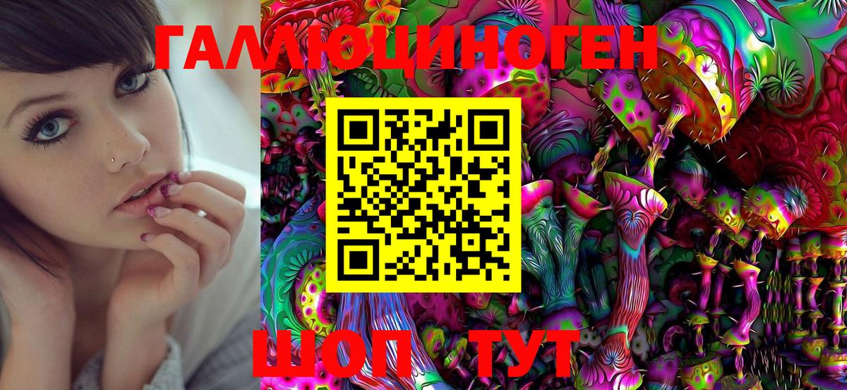 Котовск  Галлюциногенные грибы Cubensis  Вход с VPN 